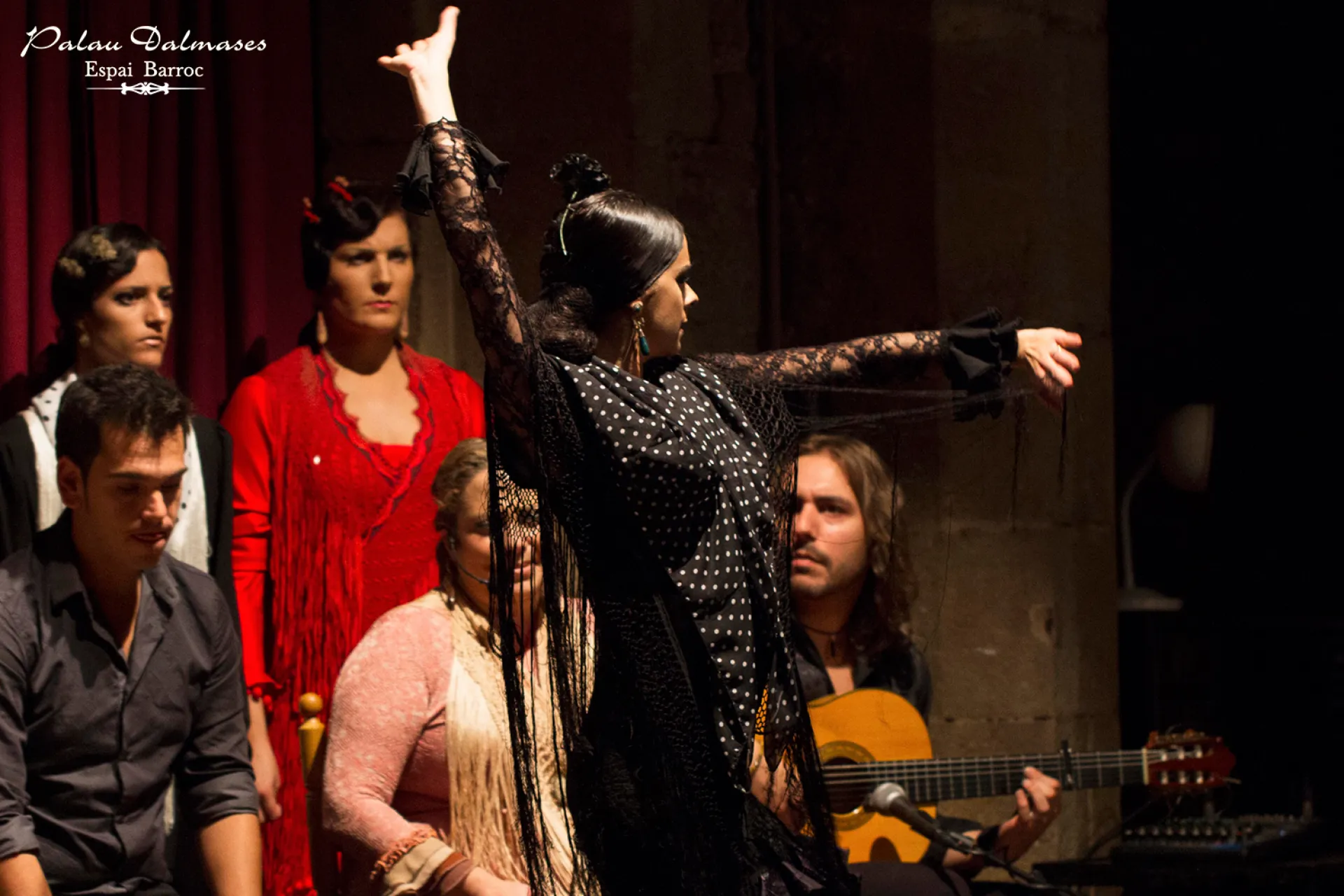 Spectacle de flamenco à Dalmases Palace