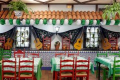 El Patio Andaluz