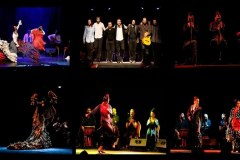 Flamenco Barcelona la ​​Teatrul Primăriei