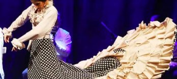 Spectacol de flamenco în Palatul Dalmases