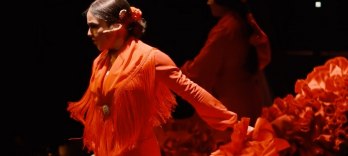 Flamenco Barcelona im Theater Rathaus