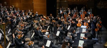 Mahler-Universum