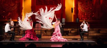 Gran Gala Flamenco - Palau de la Musica Catalana