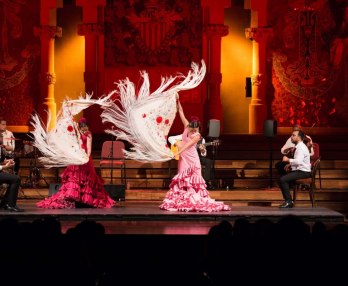Gran Gala Flamenco - Palau de la Musica Catalana