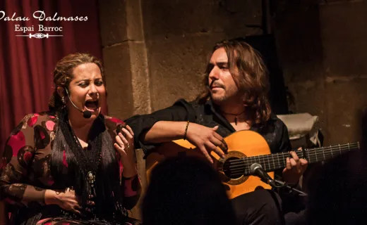 Spectacle de flamenco à Dalmases Palace