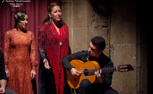 Spectacle de flamenco à Dalmases Palace