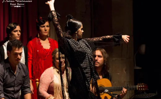 Spectacle de flamenco à Dalmases Palace