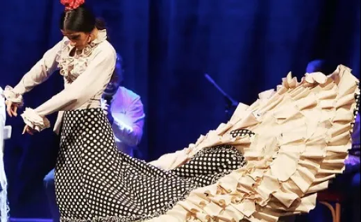 Палау Далмассес Шоу