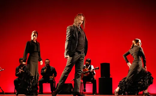 Gran Gala Flamenco - Palau de La Música Catalana