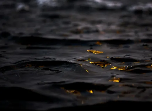 The Rhinegold