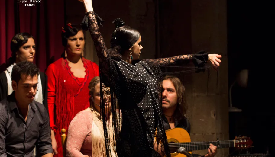 Spectacol de flamenco în Palatul Dalmases